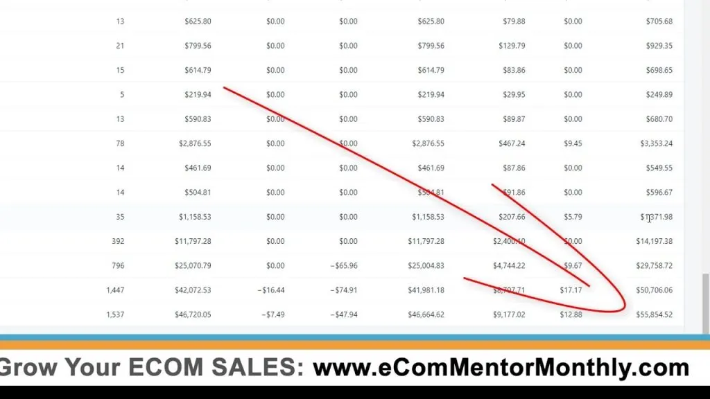 $0-60K ECom Sales using Shopify in 2 Weeks!