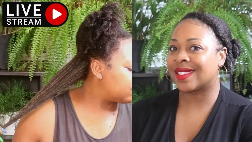 Live Chat| Moringa is that Herb and Picking Black Friday Winners